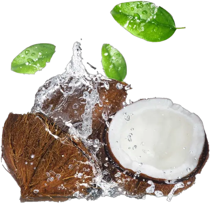 Coconut Water Splash Png Image Arts Splash Coconut Water Png Water Splash Png