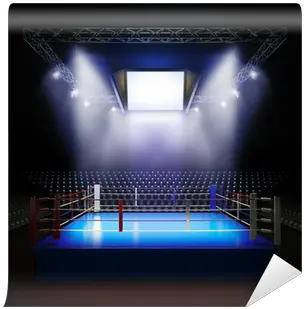 Empty Professional Boxing Ring Boxing Match Background Png Boxing Ring Png