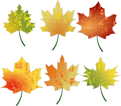 600 Free Autumn U0026 Fall Vectors Pixabay Leaves Clipart Autumn Png Fall Leaves Border Png