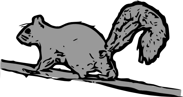 Squirrel Clip Art Squirrel Cartoon White Black Png Squirrel Clipart Png