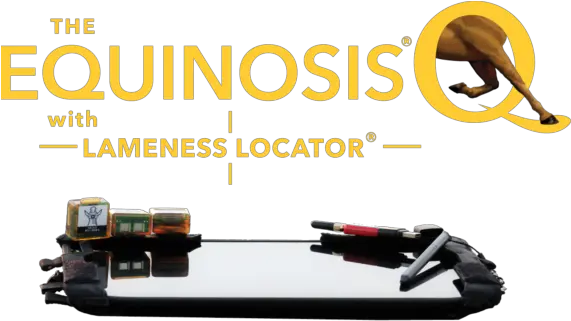 Equinosis Lameness Locator Equine Inertial Sensor System Dolphin Png Q Logo