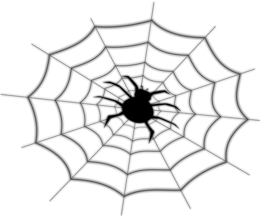 Symmetrymonochrome Photographyartwork Png Clipart Spider Nett Drawing Png Spider Man Web Png