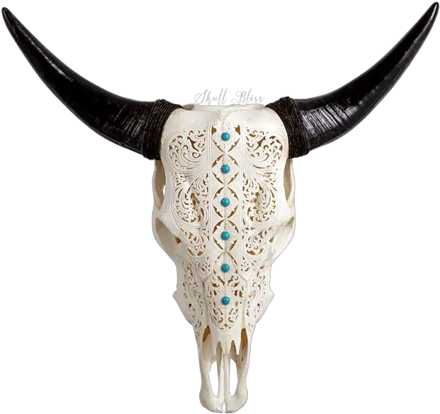 Carved Cow Skull Xl Horns Turquoise Blooming Bull Png Cow Head Png