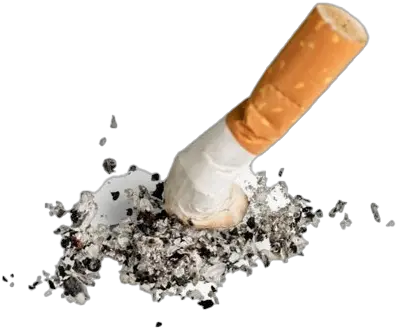 Cigarette Ashes Png All Cigarette Ash Png Cigarette Transparent