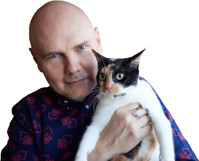 Our Design Holiday Dinner Guests Sra Interior Design Billy Corgan 2021 Cameo Twitter Png Fashion Icon Iris