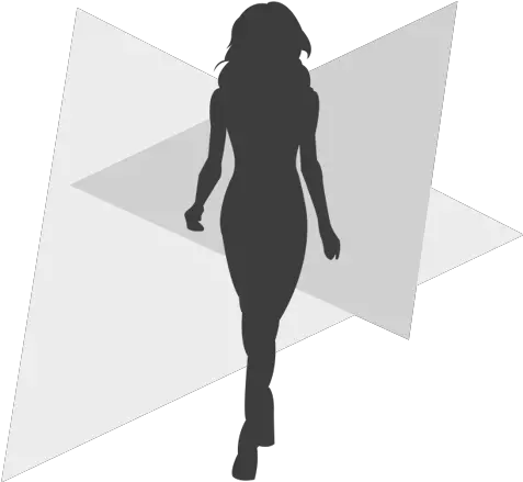 Bela Beauty Models Best Modeling Agency In Ahmedabad Silhouette Png Fashion Model Png