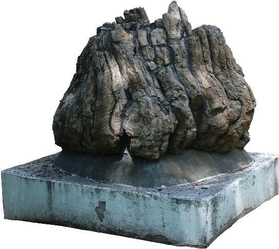 Petrified Rock Tree Trunk Png Portable Network Graphics Rock Texture Png