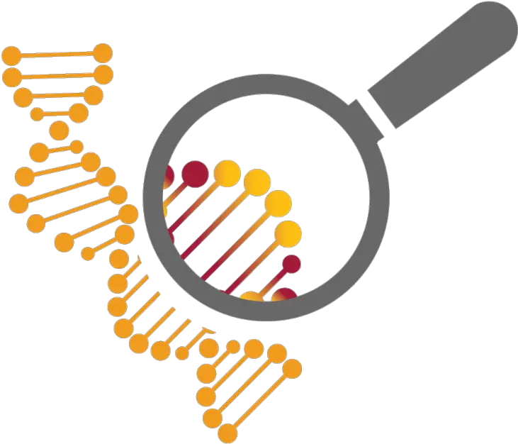 The Economic Case For Public Investment In Stem Cell Stem Cell Research Png Stem Png