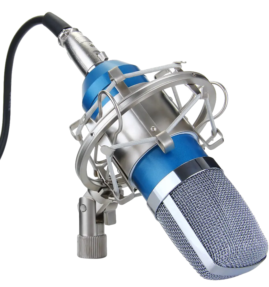 Girls With Microphone Png