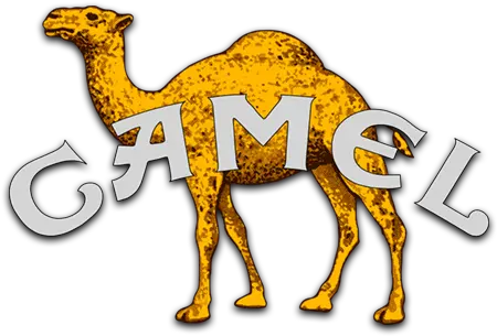 Camel Music Fanart Fanarttv Sharing Png Camel Transparent Background