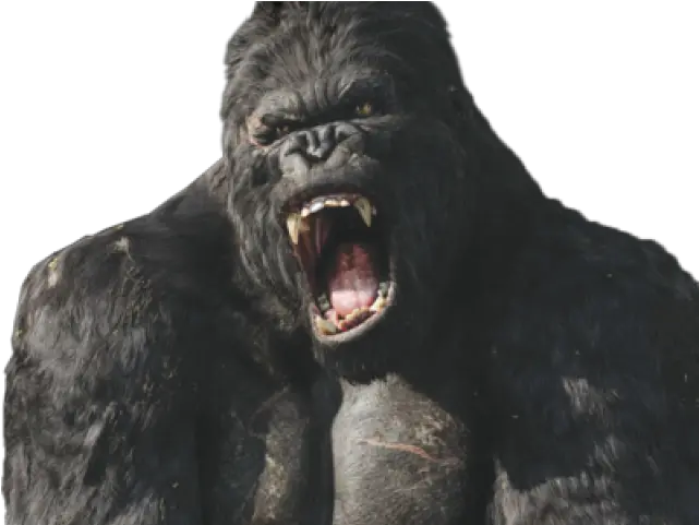 Hong Kong Clipart Gorilla Head King Kong Png King Kong Png