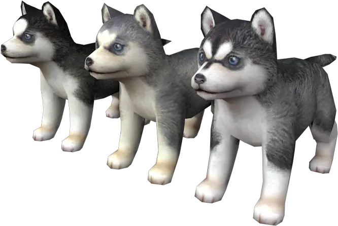 Ds Dsi Nintendogs Siberian Husky The Models Resource Nintendogs Husky Png Husky Png