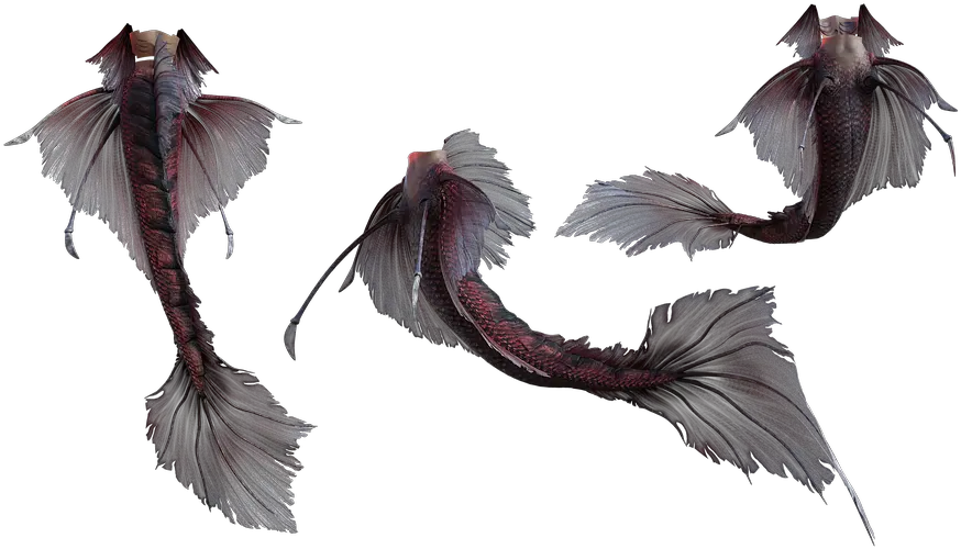 Mermaid Tails Isolated Free Image On Pixabay Illustration Png Tails Png