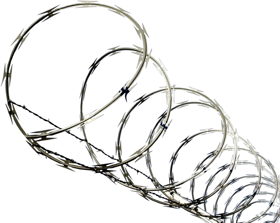 Pin By William Linfield Razor Wire Png Barbed Wire Png