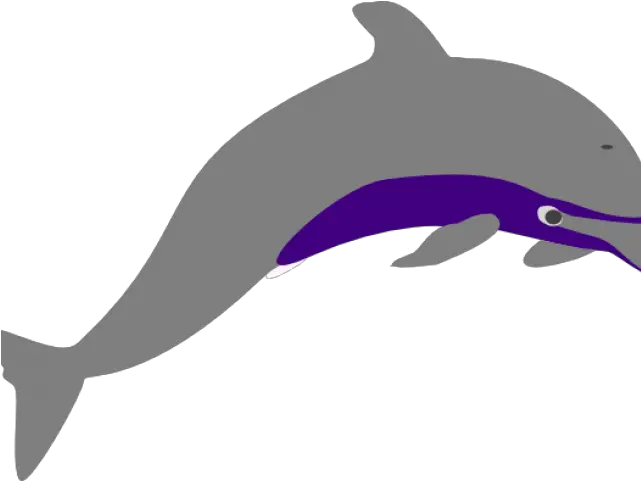 Spinner Dolphin Clipart Transparent Common Dolphin Png Dolphin Transparent Background