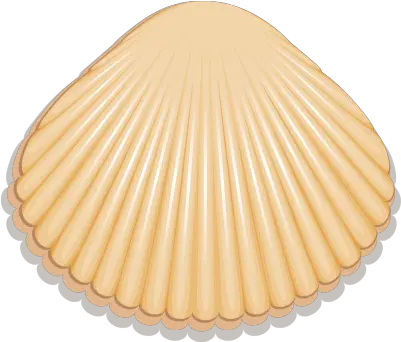 Download Purple Seashell Png Outline Clip Art Cockle Seashell Png