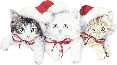 Index Of Userstbalzetopperwinter Free Printable Christmas Cat Stationery Png Santa Hat Transparent Gif