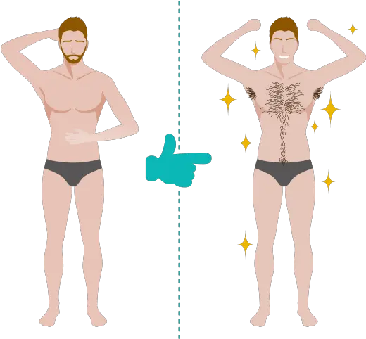 Body Hair Transplant Turkey Body Best Razor For Men Png Chest Hair Png