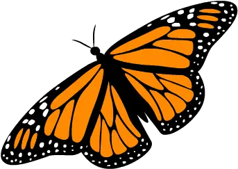 Free Butterfly Animated Gif Transparent Transparent Background Butterfly Gifs Png Butterfly Gif Transparent