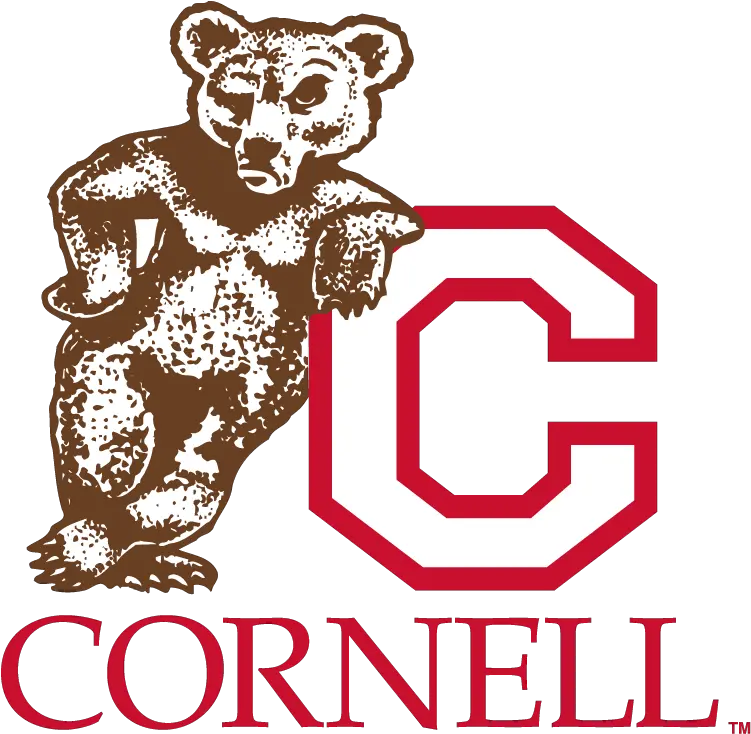 Cornell Bear Logo Logodix Old Cornell University Logo Png Bear Logo