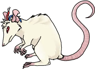 Top Rat Park Stickers For Android U0026 Ios Gfycat Animated Lab Rat Png Rat Transparent