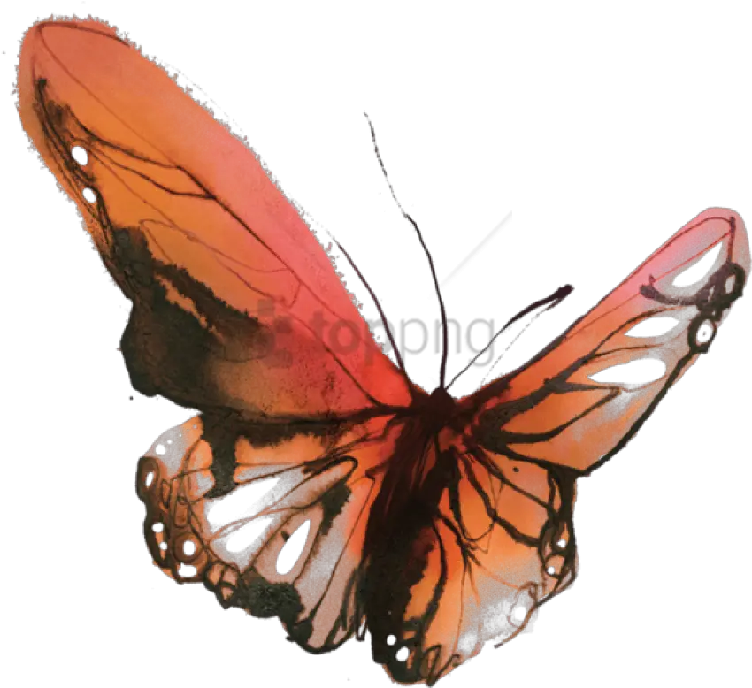 Butterfly Small Watercolor Butterfly Tattoo Png Watercolor Butterfly Png