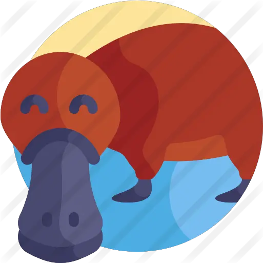 Platypus Illustration Png Platypus Png