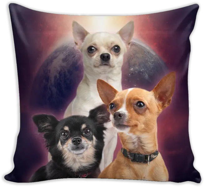 Chihuahua Throw Pillows U2013 Brave New Look Australian With South African Roots Png Chihuahua Png