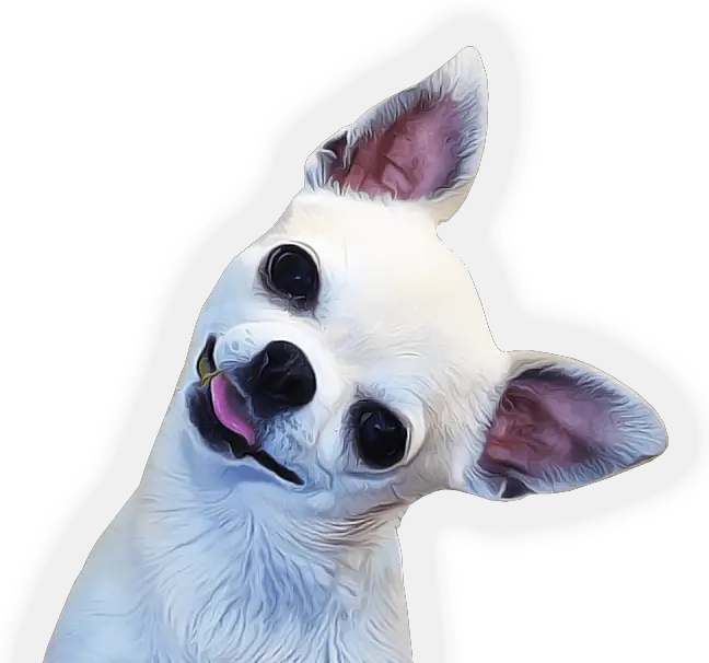 Dogs Transparent Png Images Chihuahua Png Dog Face Png