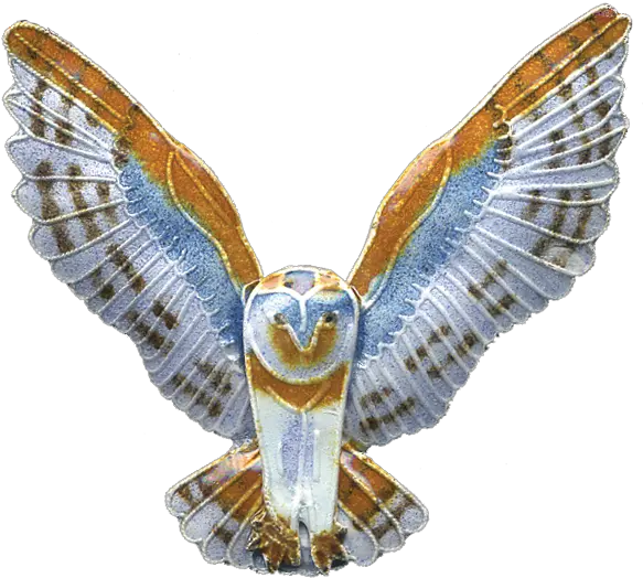 Barn Owl Pin Bamboo Jewelry Png