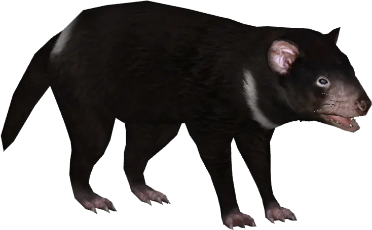 Download Free Png Tasmanian Devil 6 Image Dlpngcom Animal Tasmanian Devil Clipart Devil Png