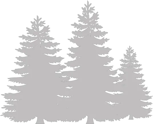 Home In The Woods Events Evergreen Trees Clipart Png Night In The Woods Icon