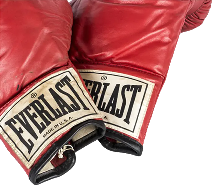 About Us Boxing Gloves Red Transparent Everlast Png Boxing Gloves Transparent Background