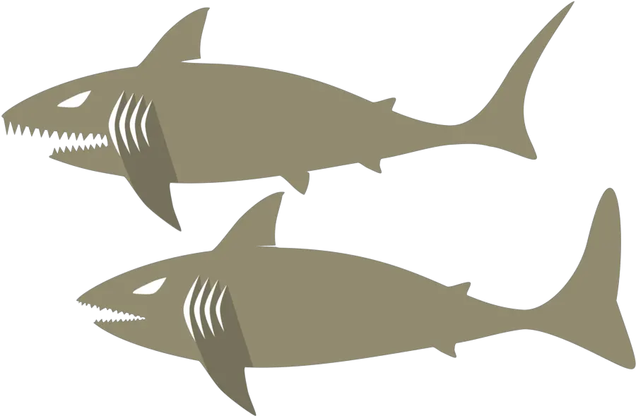 Marine Biologysharkfin Png Clipart Royalty Free Svg Png Shark Fin Png