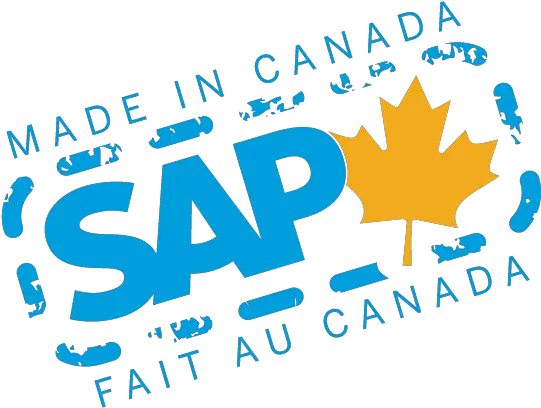 Hana Cloud Platform The Internet Of Sap Made In Canada Png Sap Logo Png