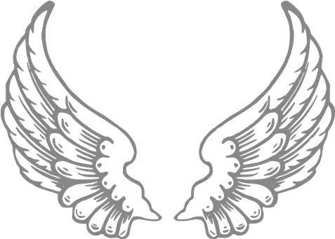 Over 1 000 Free Wings Vectors Wings Coloring Pages Png Heart With Wings Icon