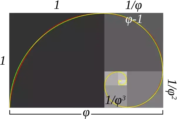 Appear To Follow The Golden Ratio Golden Rectangle Png Golden Ratio Transparent