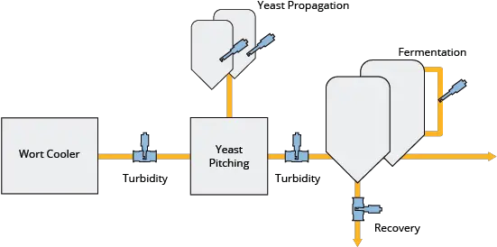 Brewing Yeast Management Pitching Fermentation Recovery Yeast Management Png Yeast Png