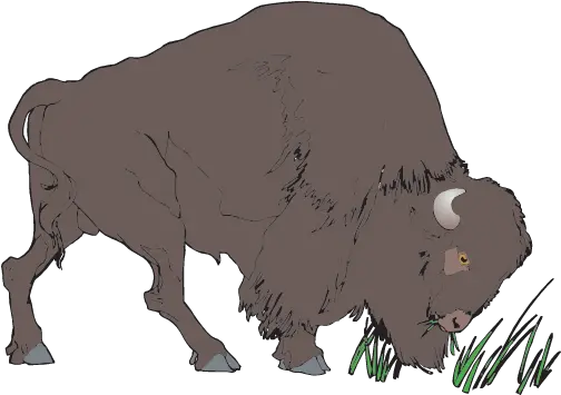 Clipart Bison Png Image With No Transparent Animation Buffalo Gif Bison Png