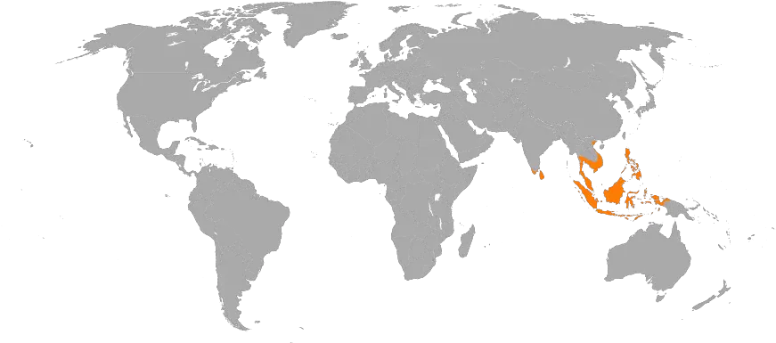 Coconut Wiki Thereaderwiki Countries Claim To Be Democratic Png Uma Descendants Icon