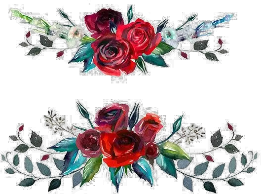 Red Flowers Png Image Background Red Rose Watercolor Background Flower Background Png