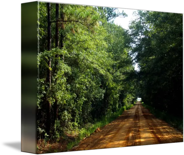 Red Dirt Road Natural Landscape Png Dirt Road Png