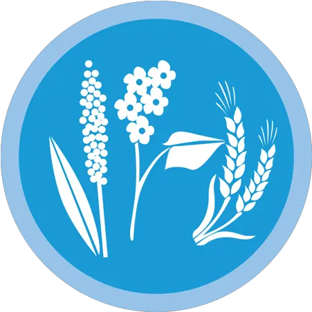 Wheat Icon New Video Game Full Size Png Download Seekpng Grains Wheat Icon Png