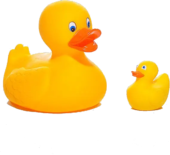 Rubber Ducks Rubber Duck Png Rubber Duck Png