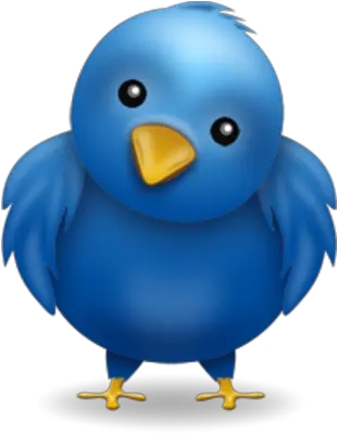 Twitter Bird The Bibliotaphe Closet Twitter Bird Face Png Twitter Bird Png