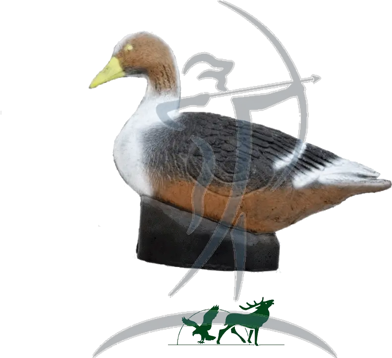 Leitold 3d Target Grey Goose Mallard Png Grey Goose Png