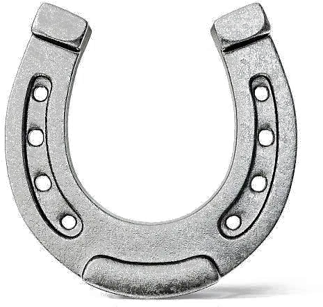 Horseshoe Transparent Image Transparent Horseshoe Png Horseshoe Transparent