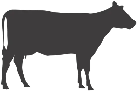 Transparent Png Svg Vector Silhouette Cow Clipart Cow Transparent