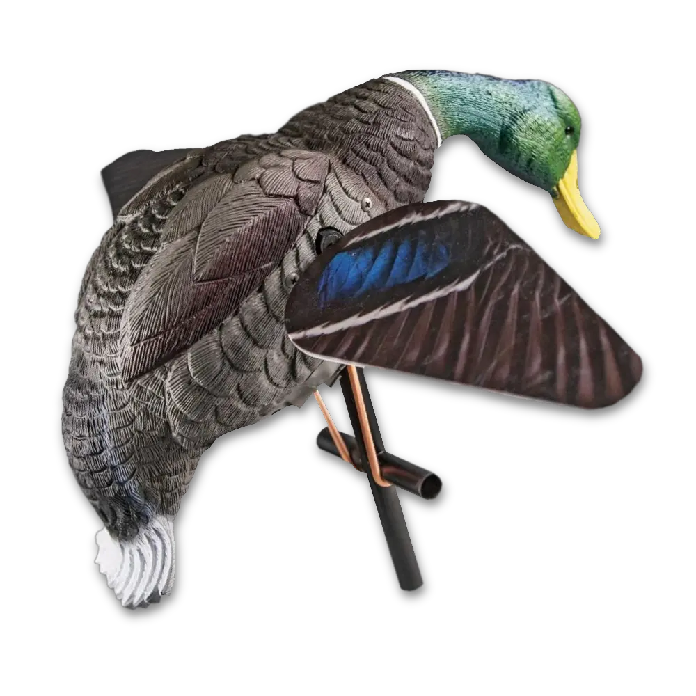 Download Duck Hunting Png Hd Pluspng Mallard Duck Hunt Png