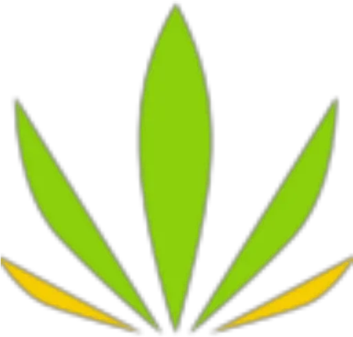 Thehollyweed Online Wed Store Marijuana Flowers White Widow Png Store Shelf Icon